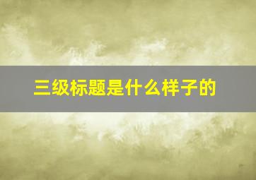 三级标题是什么样子的