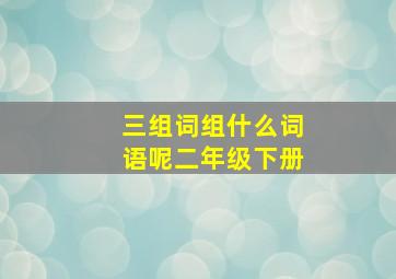 三组词组什么词语呢二年级下册