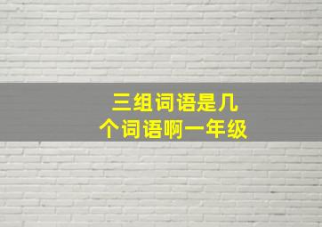 三组词语是几个词语啊一年级