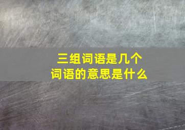 三组词语是几个词语的意思是什么