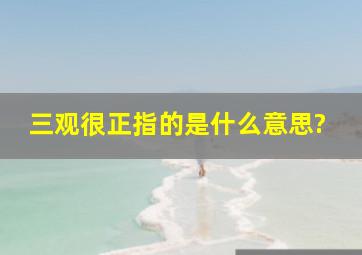 三观很正指的是什么意思?