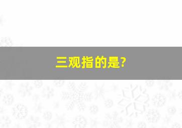 三观指的是?