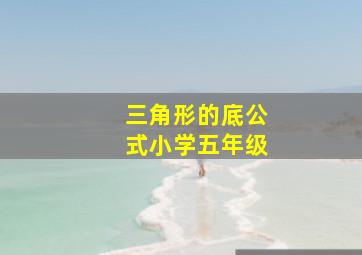 三角形的底公式小学五年级