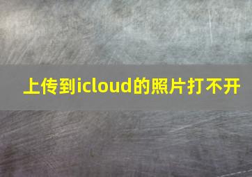 上传到icloud的照片打不开