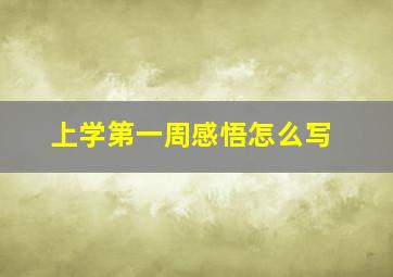 上学第一周感悟怎么写