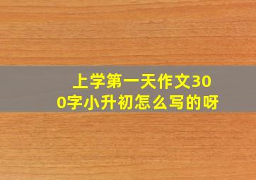 上学第一天作文300字小升初怎么写的呀