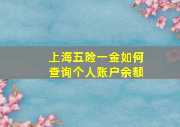 上海五险一金如何查询个人账户余额