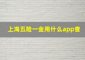 上海五险一金用什么app查