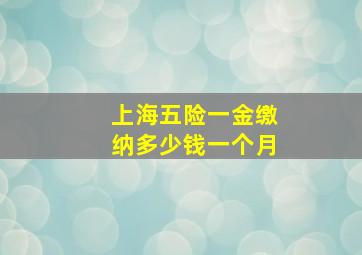 上海五险一金缴纳多少钱一个月