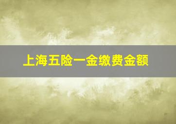 上海五险一金缴费金额