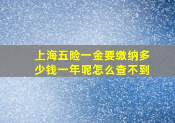 上海五险一金要缴纳多少钱一年呢怎么查不到