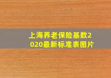 上海养老保险基数2020最新标准表图片