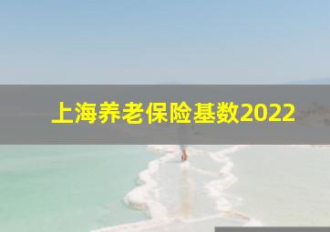 上海养老保险基数2022