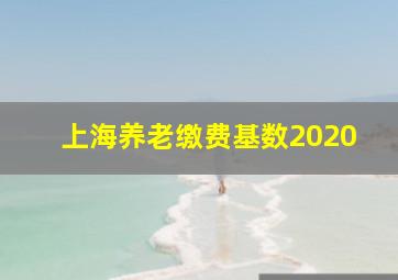 上海养老缴费基数2020