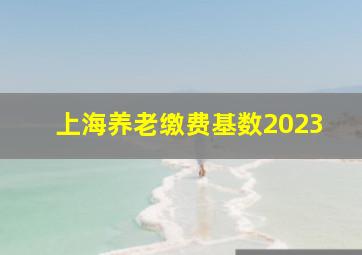 上海养老缴费基数2023