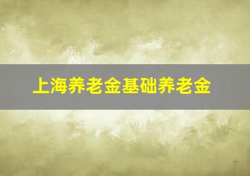 上海养老金基础养老金