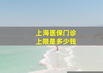 上海医保门诊上限是多少钱