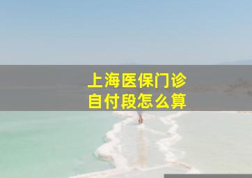 上海医保门诊自付段怎么算