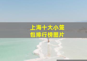 上海十大小笼包排行榜图片