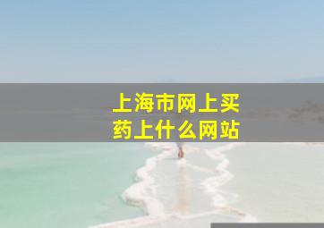 上海市网上买药上什么网站