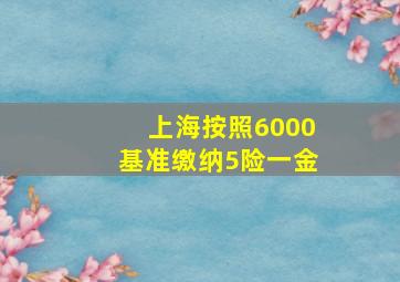 上海按照6000基准缴纳5险一金