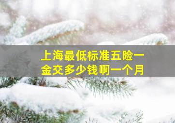 上海最低标准五险一金交多少钱啊一个月