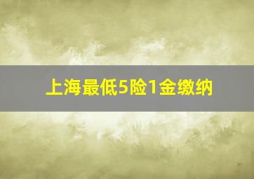 上海最低5险1金缴纳