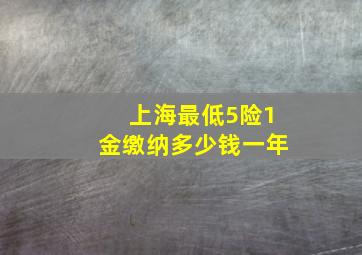 上海最低5险1金缴纳多少钱一年