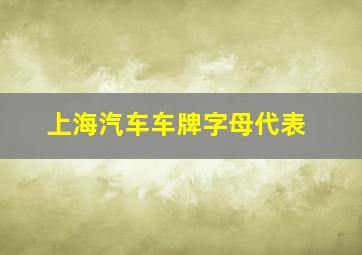 上海汽车车牌字母代表