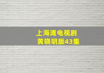 上海滩电视剧黄晓明版43集