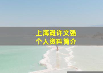 上海滩许文强个人资料简介