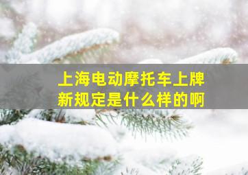 上海电动摩托车上牌新规定是什么样的啊