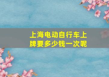 上海电动自行车上牌要多少钱一次呢