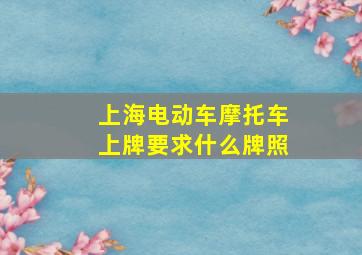 上海电动车摩托车上牌要求什么牌照