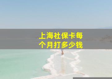 上海社保卡每个月打多少钱