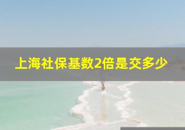 上海社保基数2倍是交多少