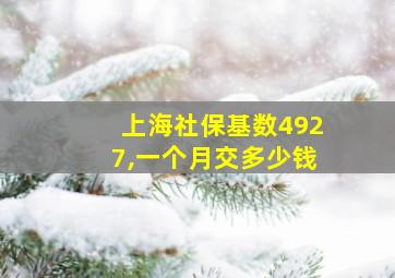 上海社保基数4927,一个月交多少钱