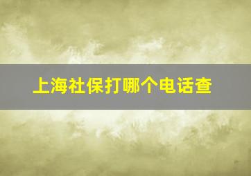 上海社保打哪个电话查