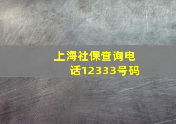 上海社保查询电话12333号码