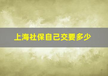 上海社保自己交要多少