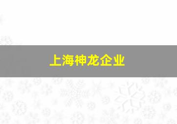 上海神龙企业