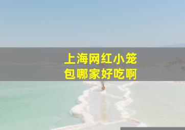 上海网红小笼包哪家好吃啊