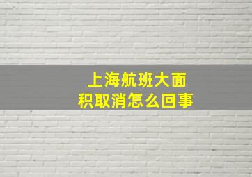 上海航班大面积取消怎么回事