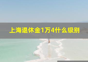 上海退休金1万4什么级别