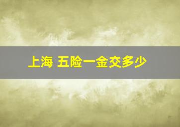 上海 五险一金交多少