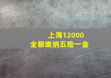 上海12000全额缴纳五险一金