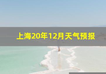 上海20年12月天气预报