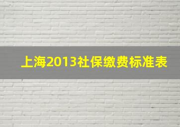 上海2013社保缴费标准表