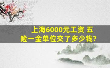 上海6000元工资 五险一金单位交了多少钱?