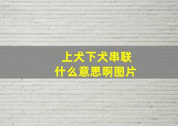 上犬下犬串联什么意思啊图片